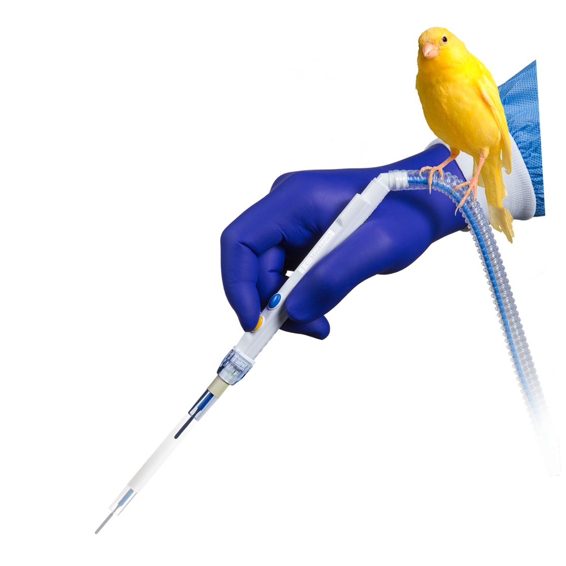 birdpenevac